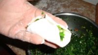 海米菠菜馅饺子
