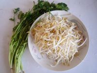 香菜拌绿豆芽