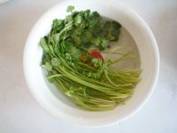 香菜拌绿豆芽