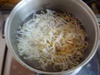 香菜拌绿豆芽