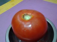 番茄煮牛肉