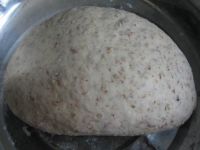 麦片馒头