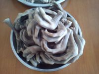 鹅掌亦火锅