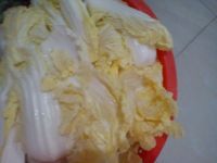 鹅掌亦火锅