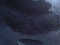 玉米煎鸡蛋