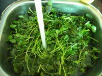 盐水西洋菜