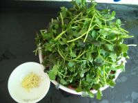 盐水西洋菜