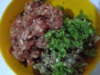 龙豆角平菇馅饺子