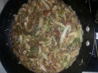 红烧肉炖白菜粉条