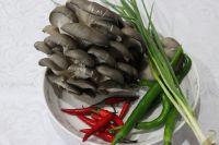 双椒蘑菇