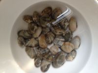 油面筋鸡蛋面