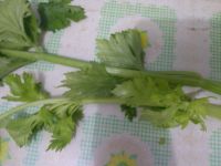 芹菜拌花生米