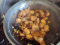 土豆炖鸡肉