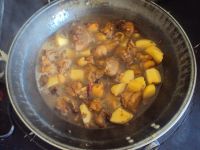 土豆炖鸡肉