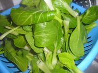 青菜豆腐