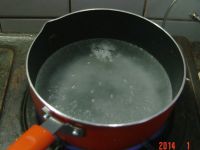 漏鱼儿