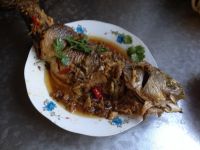 红烧鲈鱼