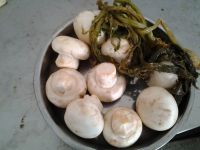 炒蘑菇