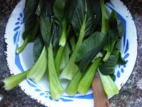 油菜炒鸡蛋