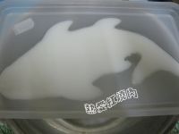 “肉皮冻