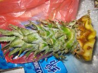 盐渍菠萝
