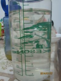 盐渍菠萝