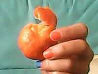 橘子花