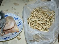 鱼腥草炖鸡汤