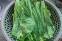 烧骨芥菜汤