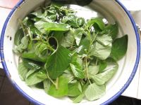 野苋菜鸡蛋饼