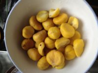 板栗回锅鸭