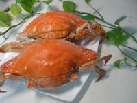 水煮螃蟹