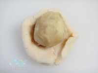 玉兔和果子