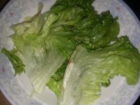 杂蔬鸡翅