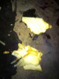 香锅排骨