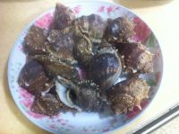 白灼角螺