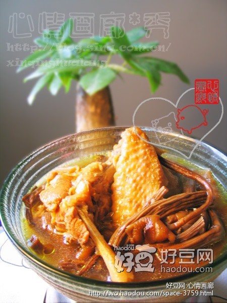 茶树菇煲土鸡