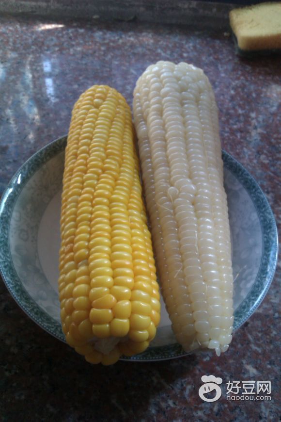 双色玉米