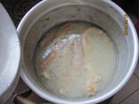 原味大肠