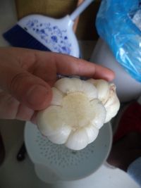 糖醋蒜头