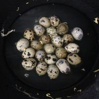 当归红豆鹌鹑蛋糖水