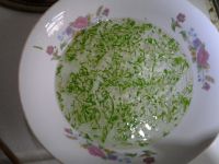 排骨面