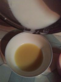 盆栽姜撞奶
