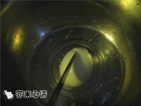 卤蛋