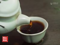 陈皮乌梅普洱茶