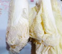 玉米面烫面菜团子
