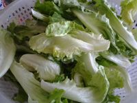 炒生菜