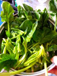 虾皮菠菜