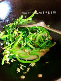 虾皮菠菜
