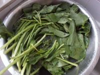 毛蚶拌菠菜